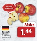 famila Nordwest Damme Prospekt mit  im Angebot für 1,44 €
