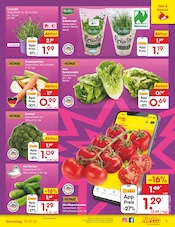 Tomaten im Netto Marken-Discount Prospekt in Villingen-Schwenningen Aktueller Netto Marken-Discount Prospekt mit Tomaten, "Aktuelle Angebote", Seite 7