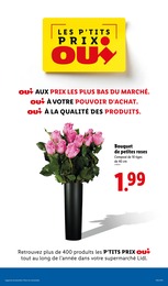 Offre Roses dans le catalogue Lidl du moment à la page 37