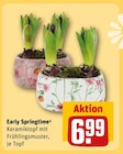 Early Springtime Angebote bei REWE Ingolstadt für 6,99 €