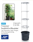 Tomatenturm-Pflanzkübel bei ALDI Nord im Boren Prospekt für 12,99 €