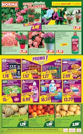 Promos Lessive dans le catalogue "Votre Discounter Régional" de Norma Lessive en promo dans le catalogue Norma à la page 4
