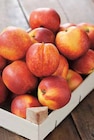 Nectarine Blanche et/ou Jaune - Origine Espagne dans le catalogue Intermarché