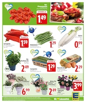 Aktueller EDEKA Prospekt mit Blumen, "APPsolut fantastisch!", Seite 5