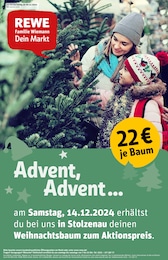 REWE Prospekt für Stolzenau: "Dein Markt", 29 Seiten, 09.12.2024 - 14.12.2024