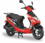 CityLeader im Angebot bei Netto Marken-Discount in Wolfenbüttel CityLeader Angebote von ALPHA MOTORS bei Netto Marken-Discount Wolfenbüttel für 1.444,00 €