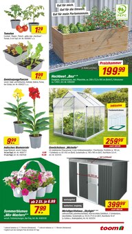 Blumen im toom Baumarkt Prospekt "Respekt, wer's selber macht." mit 22 Seiten (Ulm)