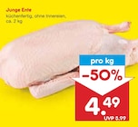 Junge Ente im aktuellen Netto Marken-Discount Prospekt