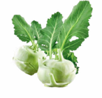 Aktuelles Kohlrabi Angebot bei Netto Marken-Discount in Bremen ab 0,69 €