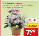 Aktuelles Frühlings Arrangement Angebot bei Netto Marken-Discount in Essen ab 7,99 €
