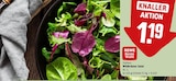 Aktuelles Wildkräuter Salat Angebot bei REWE in Frankfurt (Main) ab 1,19 €
