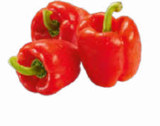Paprika rot im Angebot bei Netto Marken-Discount in Homburg Paprika rot Angebote bei Netto Marken-Discount Homburg für 1,35 €