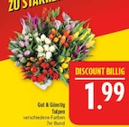 Tulpen Angebote von Gut & Günstig bei Marktkauf Bautzen für 1,99 €