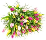 REWE - Tulpenstrauß "Lollipop" Angebot im Prospekt Tulpenstrauß "Lollipop" bei REWE im Prospekt "" für 3,33 €