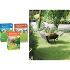 SUR TOUTES LES SEMENCES DE GAZON - CARREFOUR en promo chez Carrefour SUR TOUTES LES SEMENCES DE GAZON - CARREFOUR dans le catalogue Carrefour