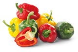 Paprika-Mix für 2,39 € bei Penny-Markt im Angebot Paprika-Mix im aktuellen Penny-Markt Prospekt