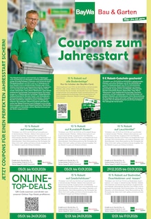 Zimmerpflanzen im BayWa Bau- und Gartenmärkte Prospekt "Entscheiden Sie selbst" mit 22 Seiten (Nürnberg)