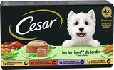 Les terrines du jardin pour chien Poulet Bœuf Agneau, Dinde - CESAR dans le catalogue Casino Supermarchés