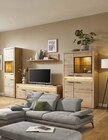 Wohnwand im Angebot bei BRAUN Möbel-Center in Neunkirchen Wohnwand Angebote von cantus bei BRAUN Möbel-Center Neunkirchen für 299,00 €