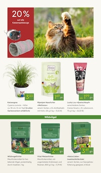 Katzenfutter im Pflanzen Kölle Prospekt "WELTFRAUENTAG" mit 20 Seiten (Nürnberg)