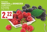Marktkauf Emsdetten - Himbeeren Angebot im Prospekt Himbeeren bei Marktkauf im Emsdetten Prospekt für 2,22 €