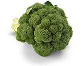 Aktuelles Broccoli Angebot bei Netto Marken-Discount in Karlsruhe ab 1,00 €