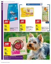 Prix et réduction Oiseau dans le prospectus Carrefour Market en cours Offre Oiseau dans le catalogue Carrefour Market du moment à la page 56
