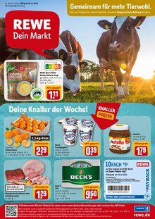 REWE Prospekt für Lübben (Spreewald) mit 25 Seiten REWE Prospekt für Lübben (Spreewald): Angebote im Markt, 25 Seiten, 22.11.2021 - 27.11.2021