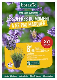 Offre Fleurs dans le catalogue Botanic du moment à la page 1
