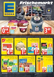 EDEKA Discounter Prospekt der aktuellen Woche mit 5 Seiten, gültig von 10.08.2026 bis 15.08.2026, in Wolgast und Umgebung Aktueller EDEKA Discounter Prospekt in Wolgast und Umgebung, "Top Angebote" mit 5 Seiten, 10.08.2026 - 15.08.2026