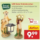 LED Solar Erdmännchen Angebote bei Netto Marken-Discount Celle für 9,99 €
