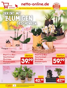 Orchidee im Netto Marken-Discount Prospekt "Aktuelle Angebote" mit 58 Seiten (Hannover)