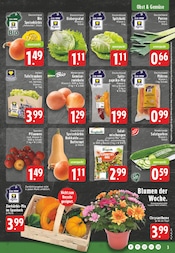 Blumen im EDEKA Prospekt in Bad Salzuflen Aktueller EDEKA Prospekt mit Blumen, "Aktuelle Angebote", Seite 3
