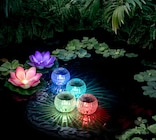 LED-Seerose im aktuellen Thomas Philipps Prospekt