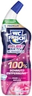 WC Reiniger Gel Selbst Aktiv Blütenfrische im Angebot bei REWE in Sankt Augustin WC Reiniger Gel Selbst Aktiv Blütenfrische Angebote von WC Frisch bei REWE Sankt Augustin für 1,79 €