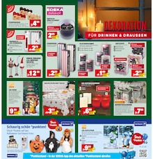 Weihnachtsdeko im aktuellen Marktkauf Prospekt (Heilbronn) Weihnachtsdeko im Marktkauf Prospekt "Aktuelle Angebote" mit 57 Seiten (Heilbronn)