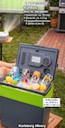 Kühlbox Angebote von STEINBORG bei Netto Marken-Discount Lingen