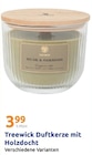 Duftkerze mit Holzdocht Angebote von Treewick bei Action Nordhausen für 3,99 €