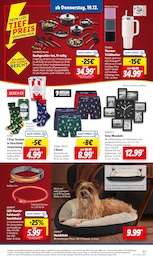 Lidl Hundebett im Prospekt 