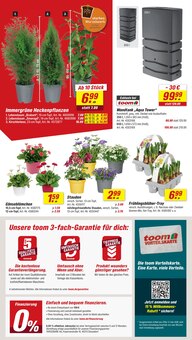 Blumen im toom Baumarkt Prospekt "Respekt, wer's selber macht." mit 18 Seiten (Cottbus)