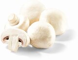 Champignon weiss von  im aktuellen Netto Marken-Discount Prospekt für 1,00 €