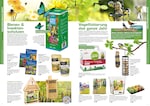 Insektenschutz Insektenschutz