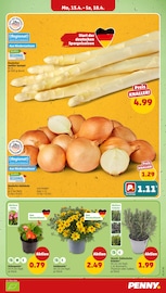 Spargel im Penny Prospekt in Göttingen Aktueller Penny Prospekt mit Spargel, "Wer günstig will, muss Penny.", Seite 7