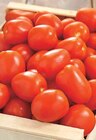 Intermarché Sainte-Hélène - Promo Tomate allongée Promo Tomate allongée à 2,49 € dans le catalogue Intermarché à Sainte-Hélène