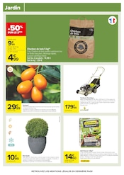 Promos Charbon De Bois dans le catalogue "Carrefour" de Carrefour à la page 65