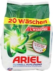 Waschpulver Angebote von Ariel bei Rusta Bremen für 3,99 €