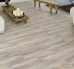 New Sequoia im Angebot bei Hagebaumarkt in Lippstadt New Sequoia Angebote bei Hagebaumarkt Lippstadt für 9,99 €