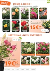 Promos Plantes dans le catalogue "L'automne, c'est la saison des racines !" de Ma Jardinerie Plantes en promo dans le catalogue Ma Jardinerie à la page 2