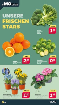 Butter Angebot im Netto mit dem Scottie Prospekt, gültig von 09.02.2026 bis 14.02.2026 Butter Angebot im aktuellen Netto mit dem Scottie Prospekt auf Seite 2