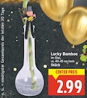 Lucky Bambus im Angebot bei E center in Falkensee Lucky Bambus Angebote bei E center Falkensee für 2,99 €